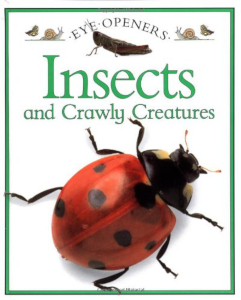 Insects and Crawly Creatures Cover