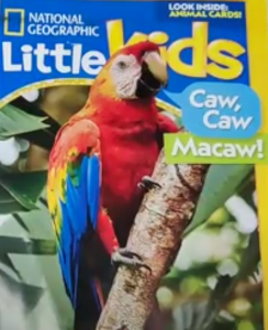 National Geographic Kids - Macaw Cover