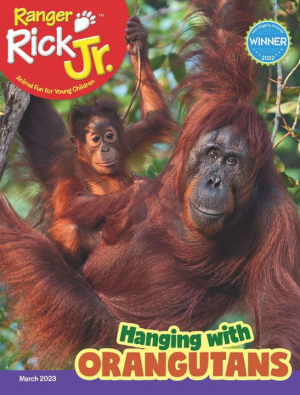 Ranger Rick Junior - Hanging with Orangutans Cover