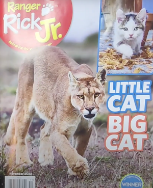 Ranger Rick Jr - Little Cats, Big Cats Cover