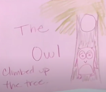 The Owl Climbed Up the Tree Cover