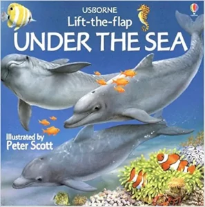 Under the Sea, Lift-the-Flap book Cover